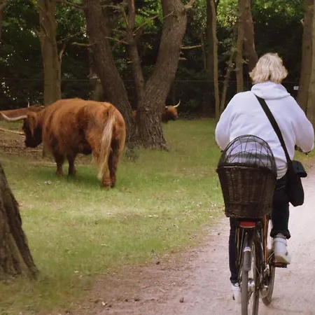 / Tanahlot Hotel Zandvoort