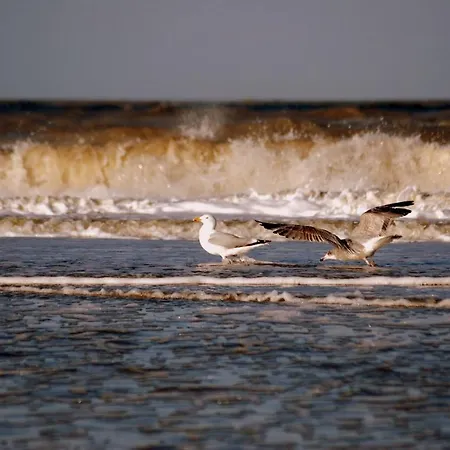 / Tanahlot Zandvoort