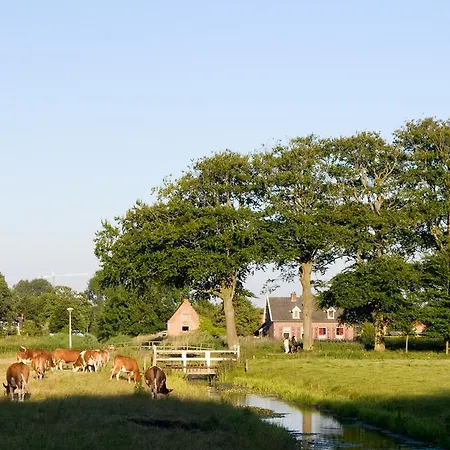 / Tanahlot Zandvoort