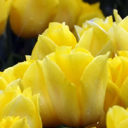 Hotel / Tanahlot Zandvoort